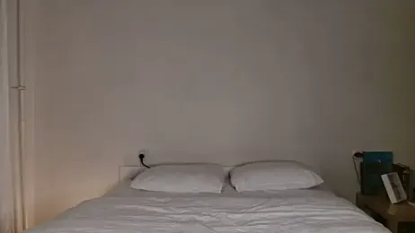 Milky___Way webcam model stream image