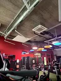 Spiederman-10 webcam model stream image