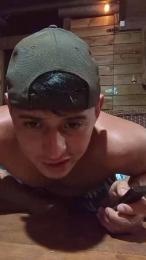 Geiver3 webcam model stream image