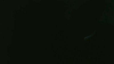 beard_man_sexy webcam model stream image