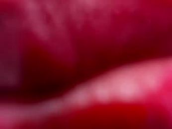 camiila_osorio webcam chaturbate model stream image