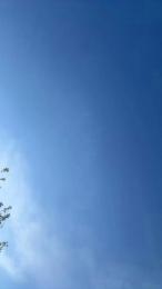 Nelsonlcs1990 webcam model stream image