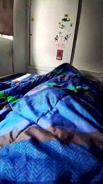 rodovlaz webcam model stream image