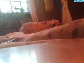 hungspunnstud webcam model stream image