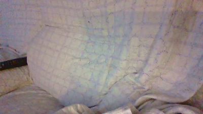 TettonaPelosa webcam model stream image