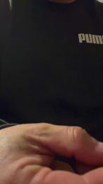 Diebull webcam model stream image