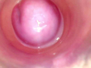 Shannon-kane webcam model stream image