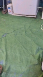 Petitebombe34 webcam model stream image