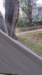 Petitebombe34 webcam model stream image