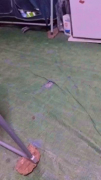 Petitebombe34 webcam model stream image