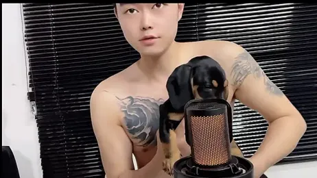 GUCCI-BOY1314 webcam stripchat model stream image