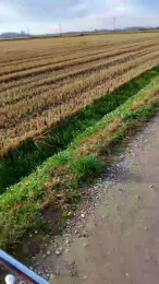 luxxuriax webcam model stream image