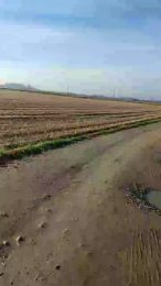 luxxuriax webcam model stream image