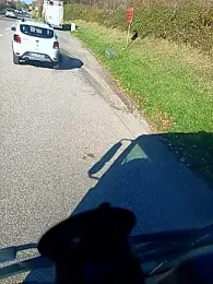 Dam70 webcam model stream image