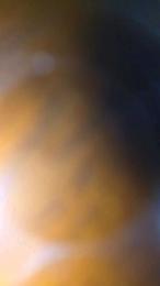 Sexychantalslut webcam model stream image