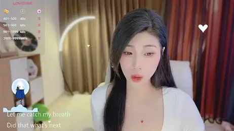 Vaidurya-Yolo webcam model stream image