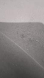 42334363gjp webcam model stream image