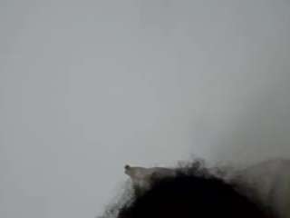 otakubbc webcam model stream image