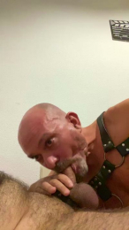 daddybearmadri5 webcam model stream image