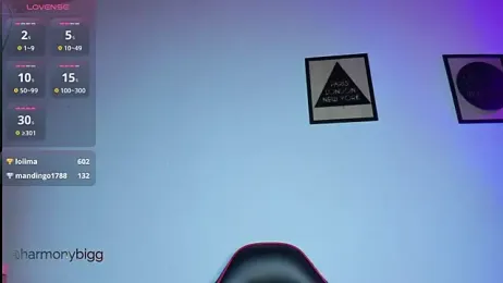 harmony_bigbreasts webcam model stream image