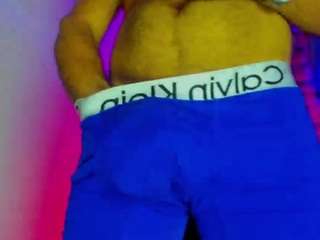 bear-room webcam model stream image