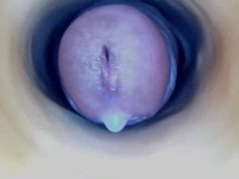 paulainoscente webcam model stream image