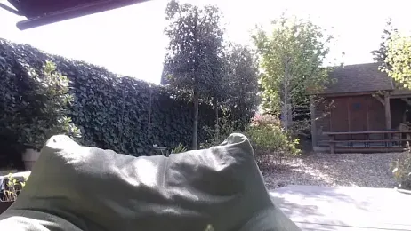 godinflower webcam model stream image