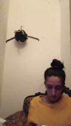 Nereitatenn1 webcam model stream image
