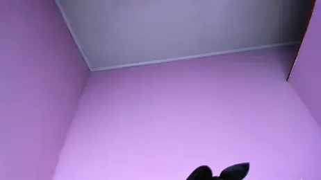 Valery2_salazar webcam model stream image