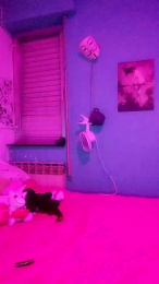 shadows5895 webcam model stream image