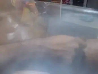 BBC-XXL webcam model stream image