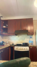 luziv2025 webcam model stream image