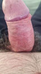 jpp2051 webcam model stream image