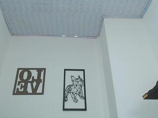 Giaconno webcam model stream image