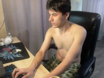 vialeras webcam model stream image