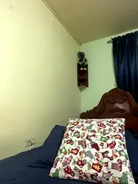 MaxDell webcam model stream image