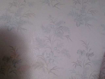 Mu1rka webcam model stream image