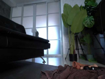 delpogorlo webcam bongacams model stream image