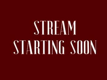 siravelle webcam model stream image