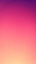 Whonder webcam model stream image