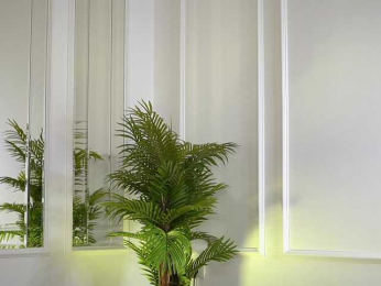 SashaPariss webcam model stream image