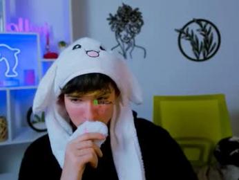 fose_di webcam model stream image