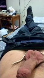 Thomas2631 webcam model stream image