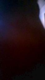 fievresamediso2 webcam model stream image