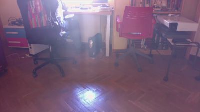 nizi31 webcam cam4 model stream image