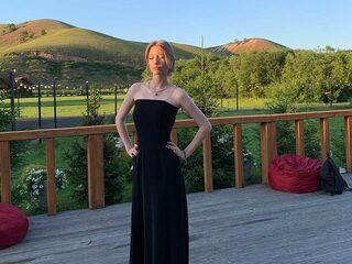 Sibley Handford webcam model stream image