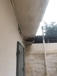 Vickyins480000 webcam stripchat model stream image