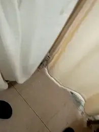 Zig97495 webcam model stream image