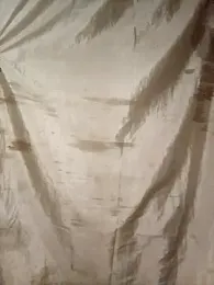 Sweeddickyyy2025 webcam model stream image