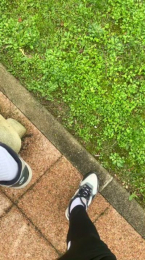 Viseu webcam model stream image